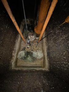 Mr. Mikes Plumbing & Drain Cleaning Calgary